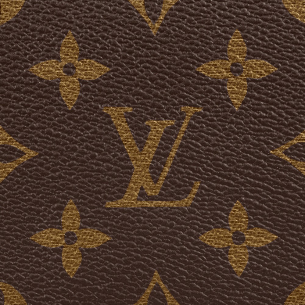 Louis Vuitton Speedy Bandouliere 25 M41113