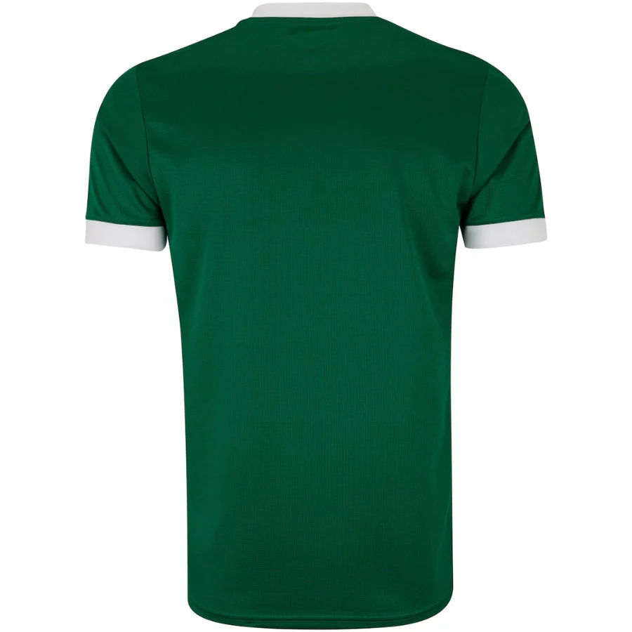 Palmeiras Home Fan Jersey 2025/26