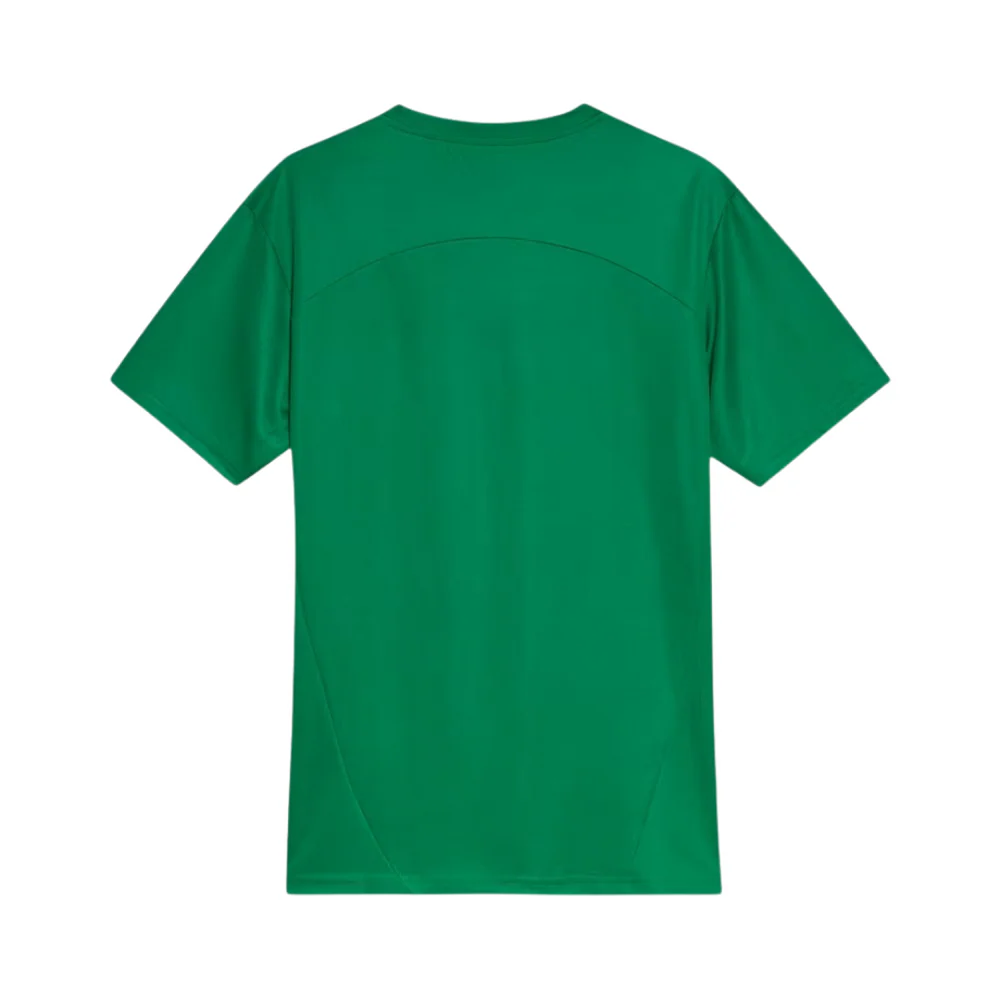 Camisa Palmeiras 25/26 Treino verde