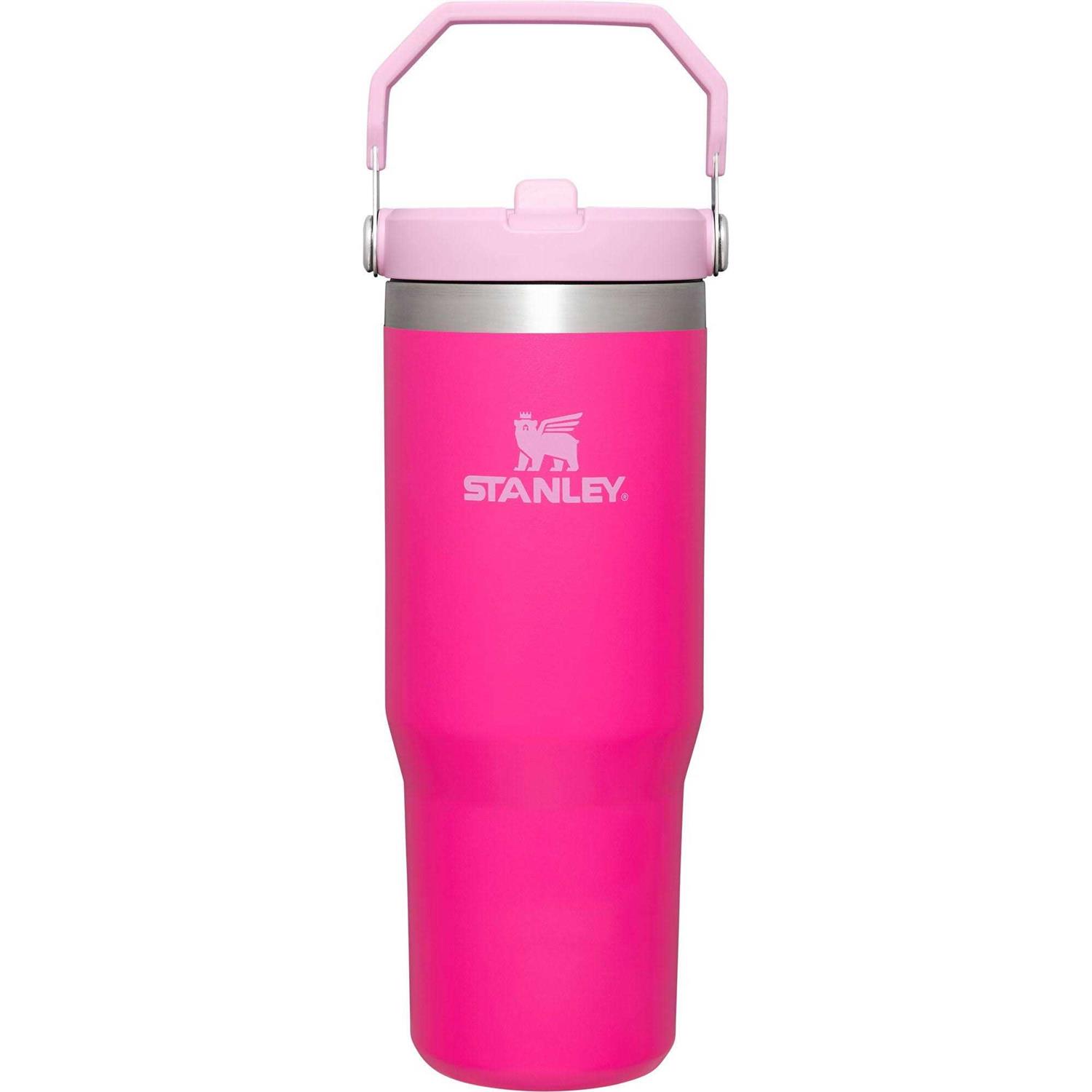 Stanley IceFlow Tumbler Flip Straw
