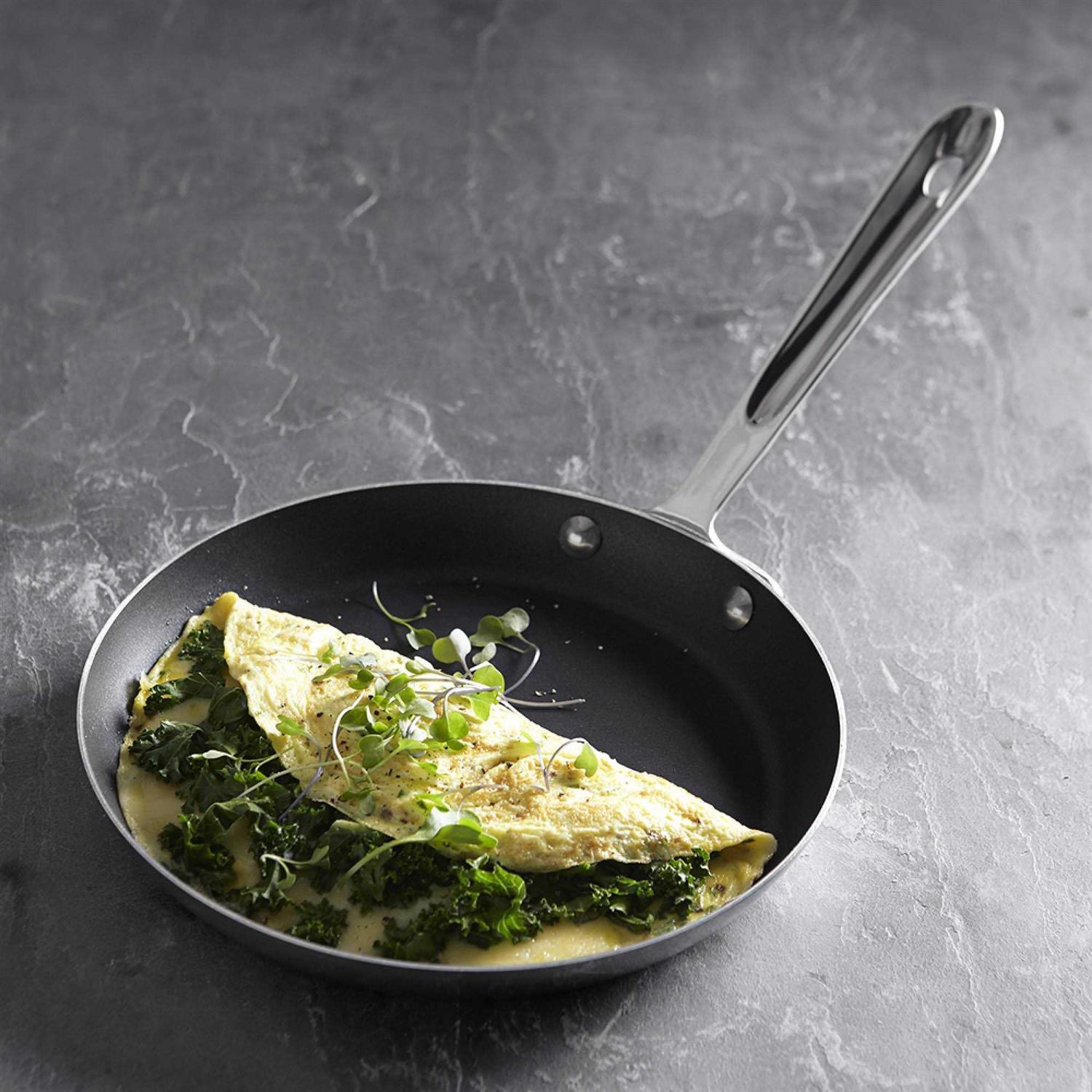 All-Clad D5 Stainless 9-Inch Nonstick Omelette Pan