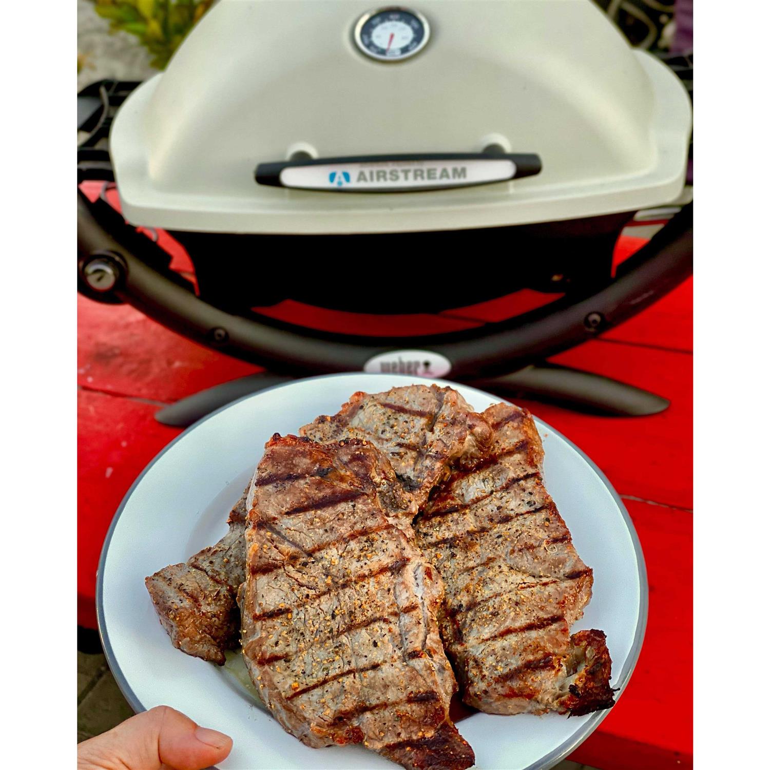 Weber Q 1200 Gas Grill
