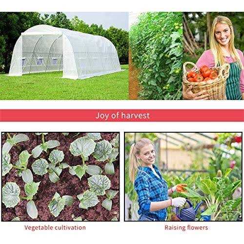 Erommy 10′ x 7′ Greenhouse Large Gardening Plant Hot House Portable Walking in Tunnel Tent