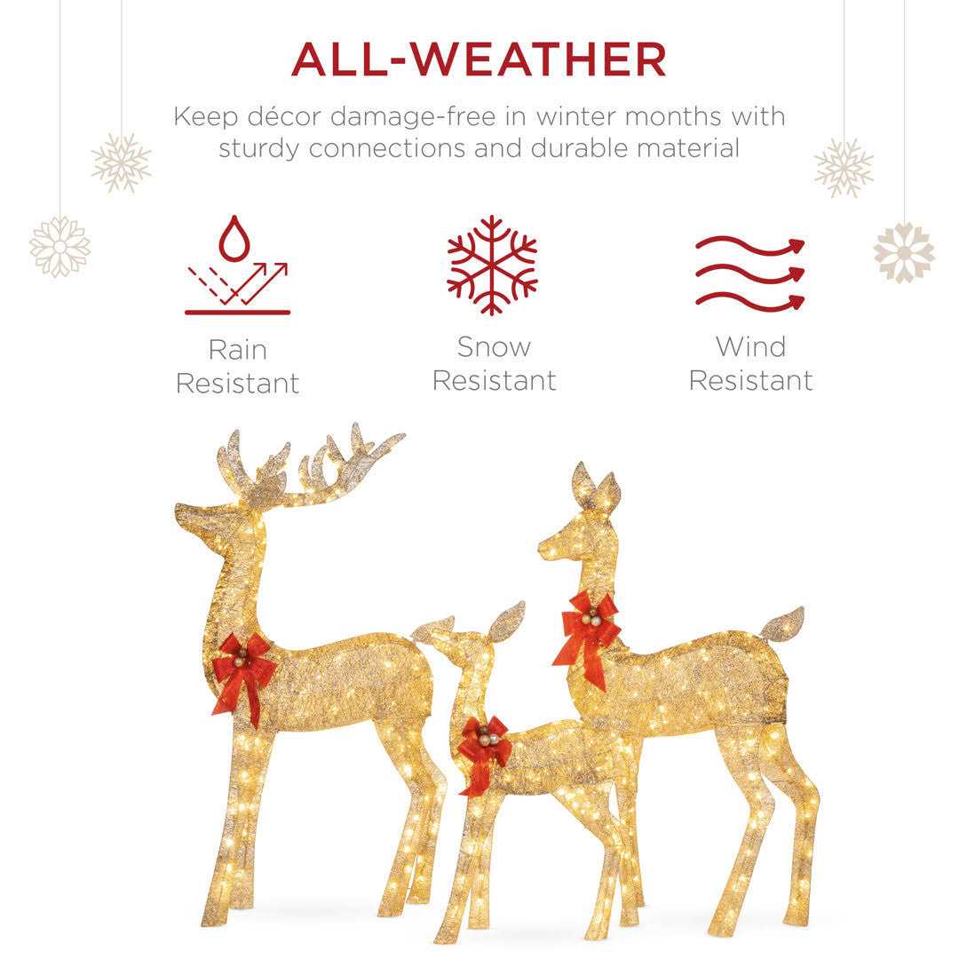 The Holiday Aisle® 3 Piece Christmas Deer Light Display Set