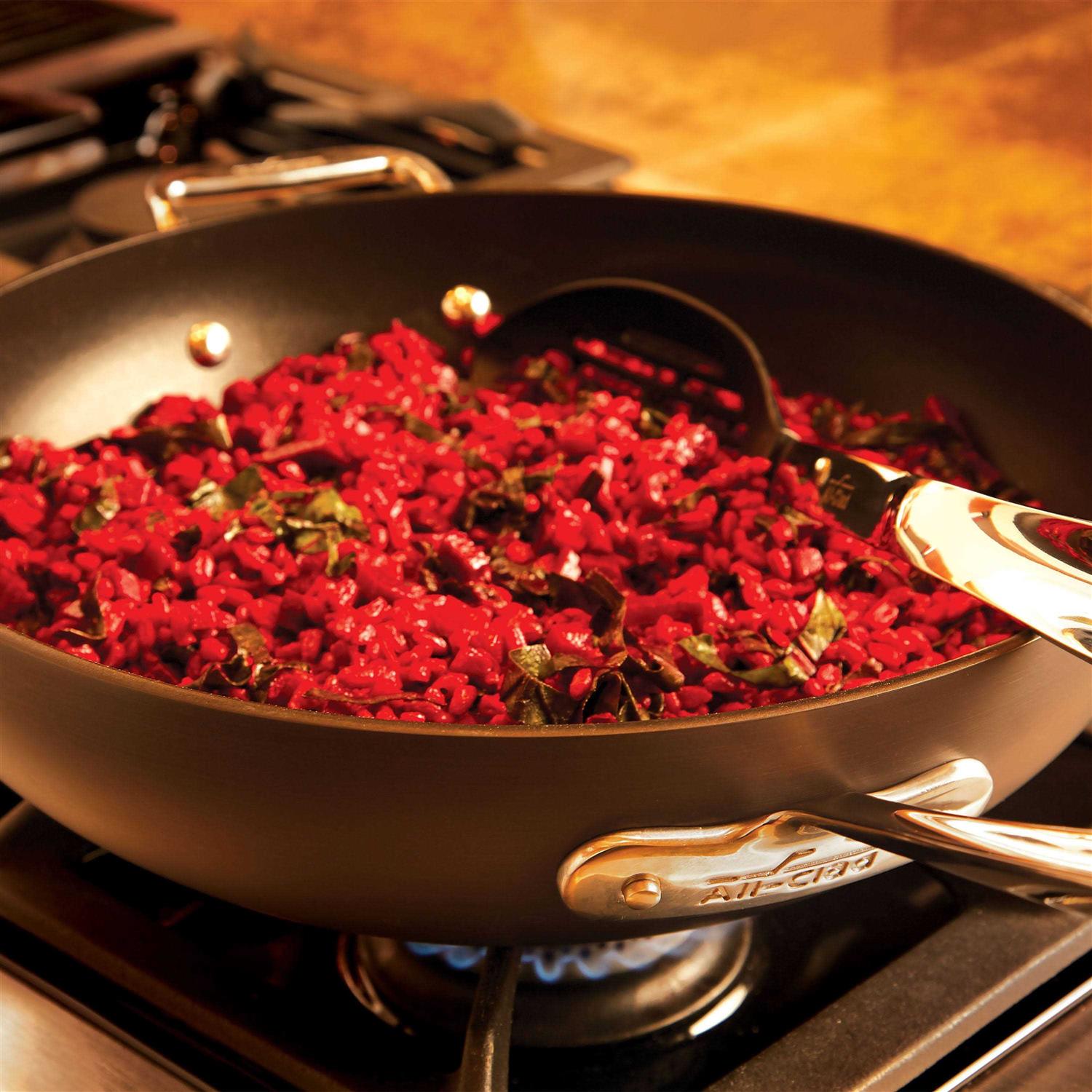 All-Clad HA1 Hard Anodized Nonstick Fry Pan