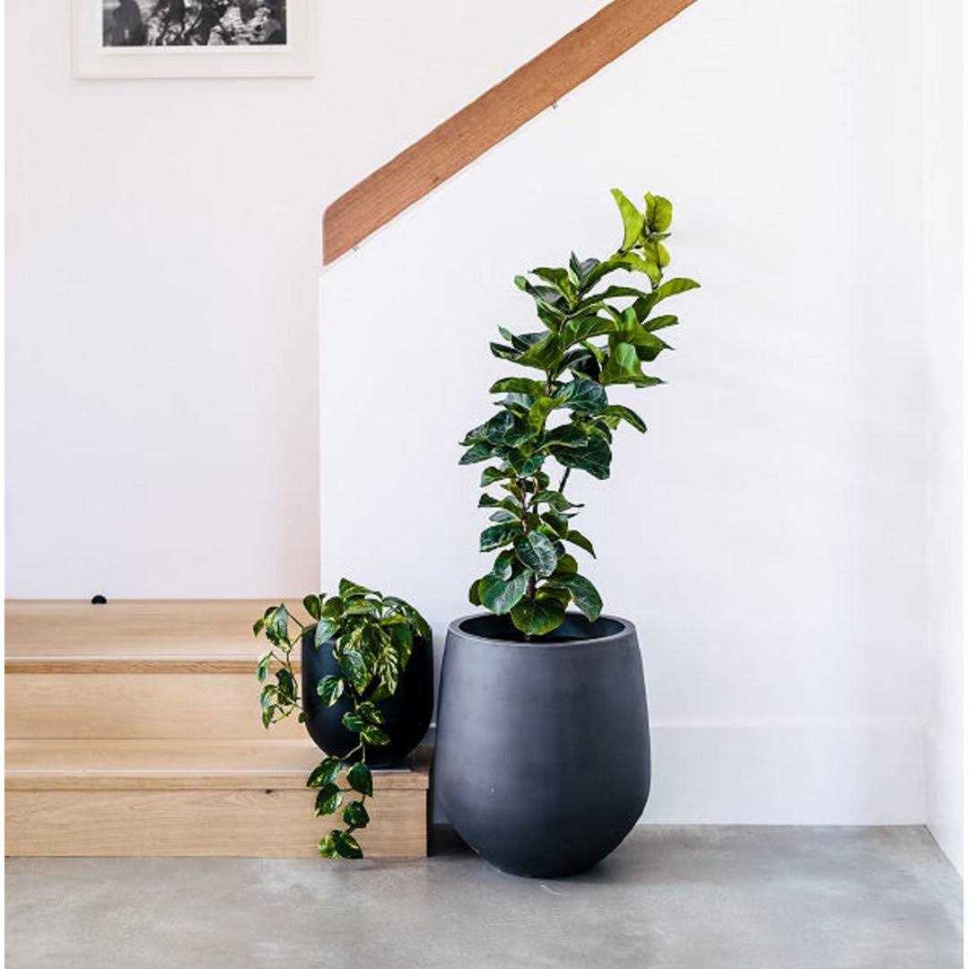 Dorlis Fiberstone Pot Planter Orren Ellis