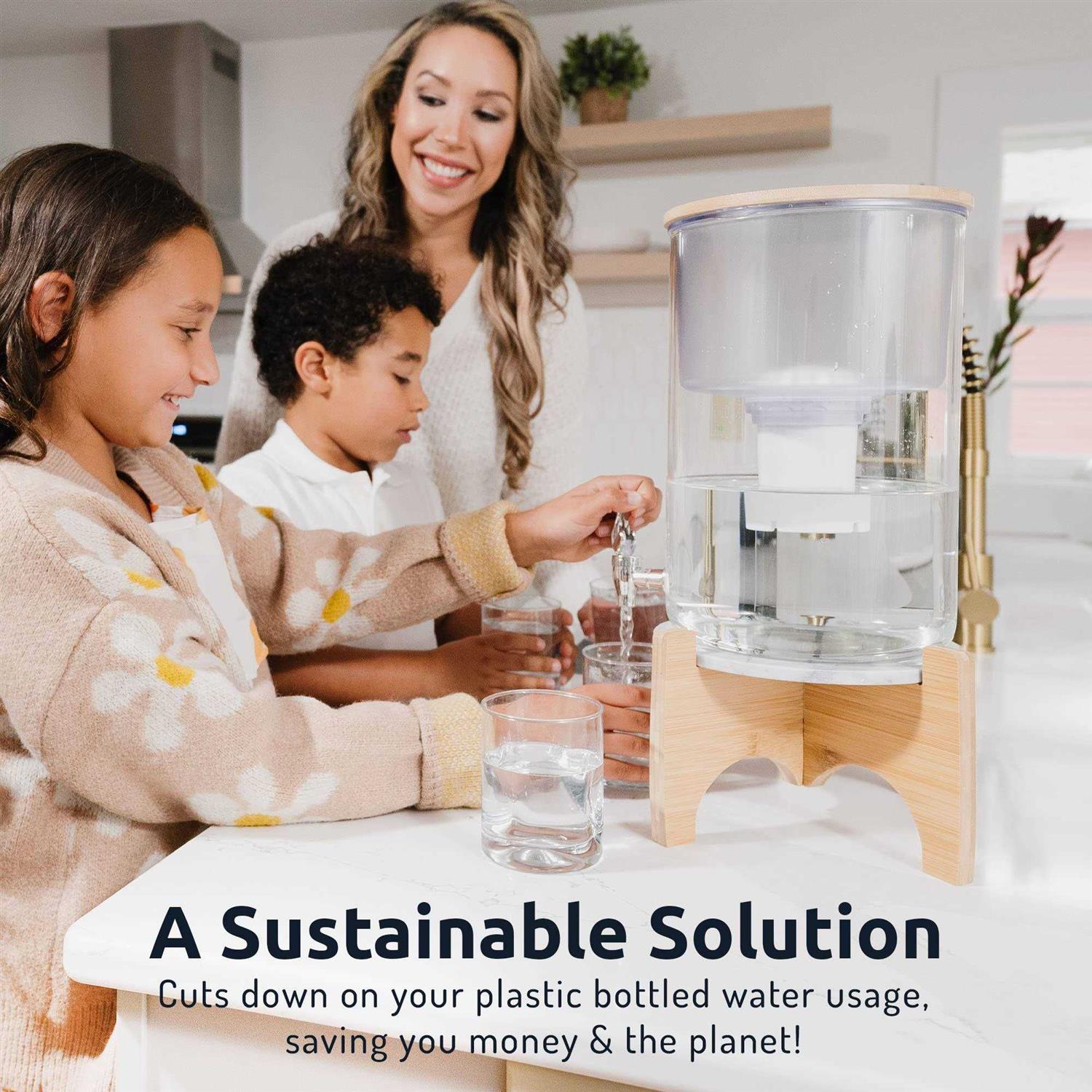 Invigorated Water Countertop Alkaline Water Filter pH Recharge Glass