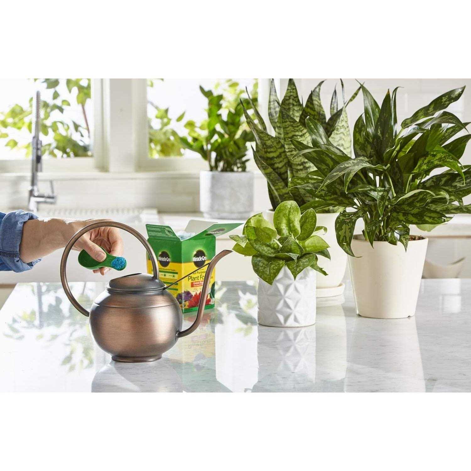 Miracle-Gro All Purpose Plant Food – 1.5 lb box