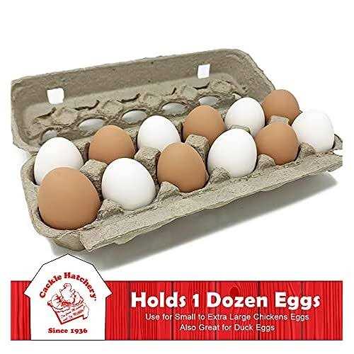 Vented Paper Pulp Egg Cartons