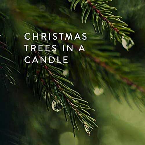 Thymes Frasier Fir Candle Tin