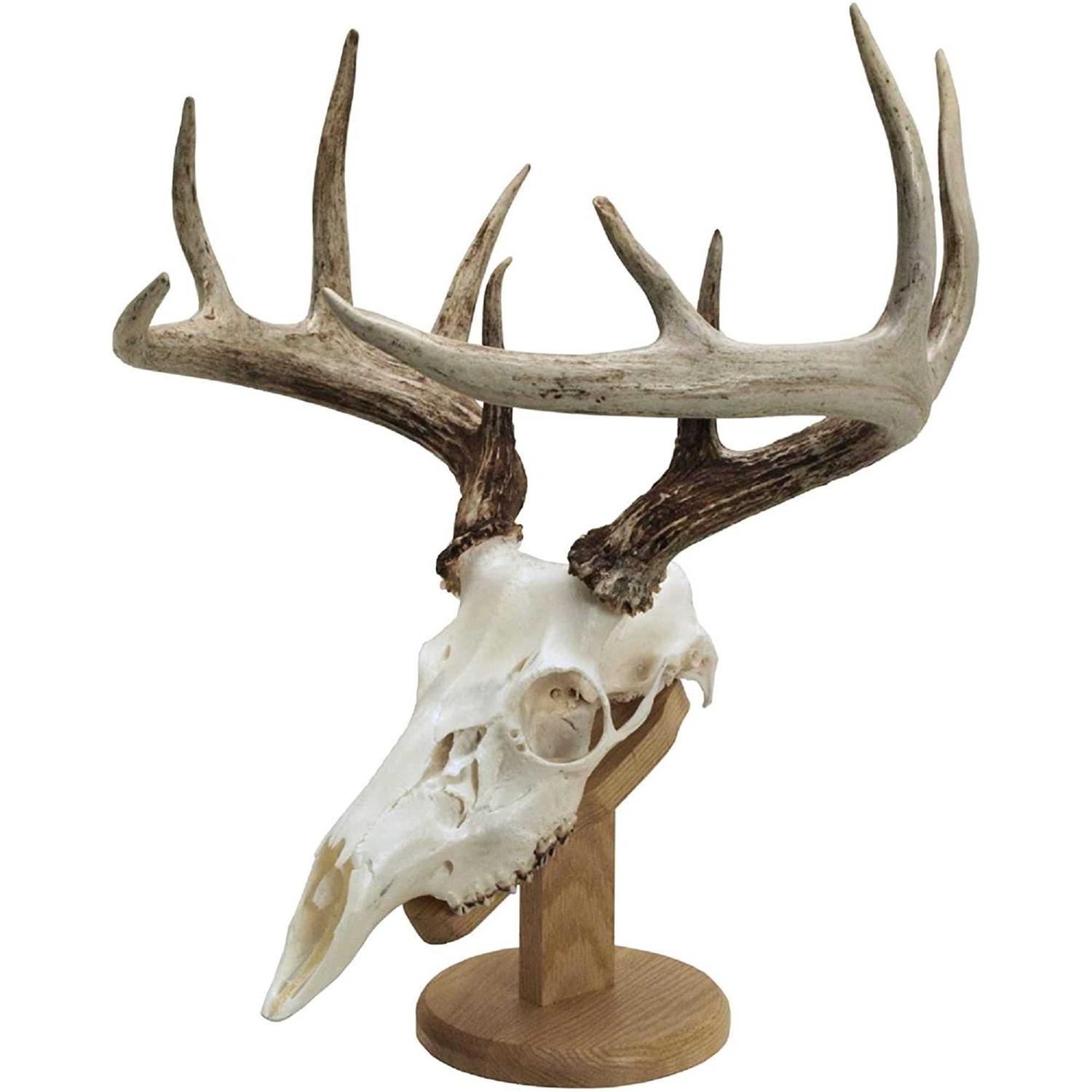 Walnut Hollow Country Solid Oak Skull Mount Kit