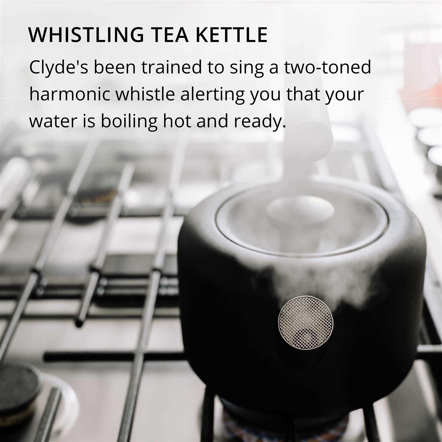 Fellow Clyde Stovetop Tea Kettle