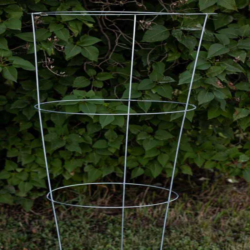 Glamos Galvanized Wire Tomato Cage