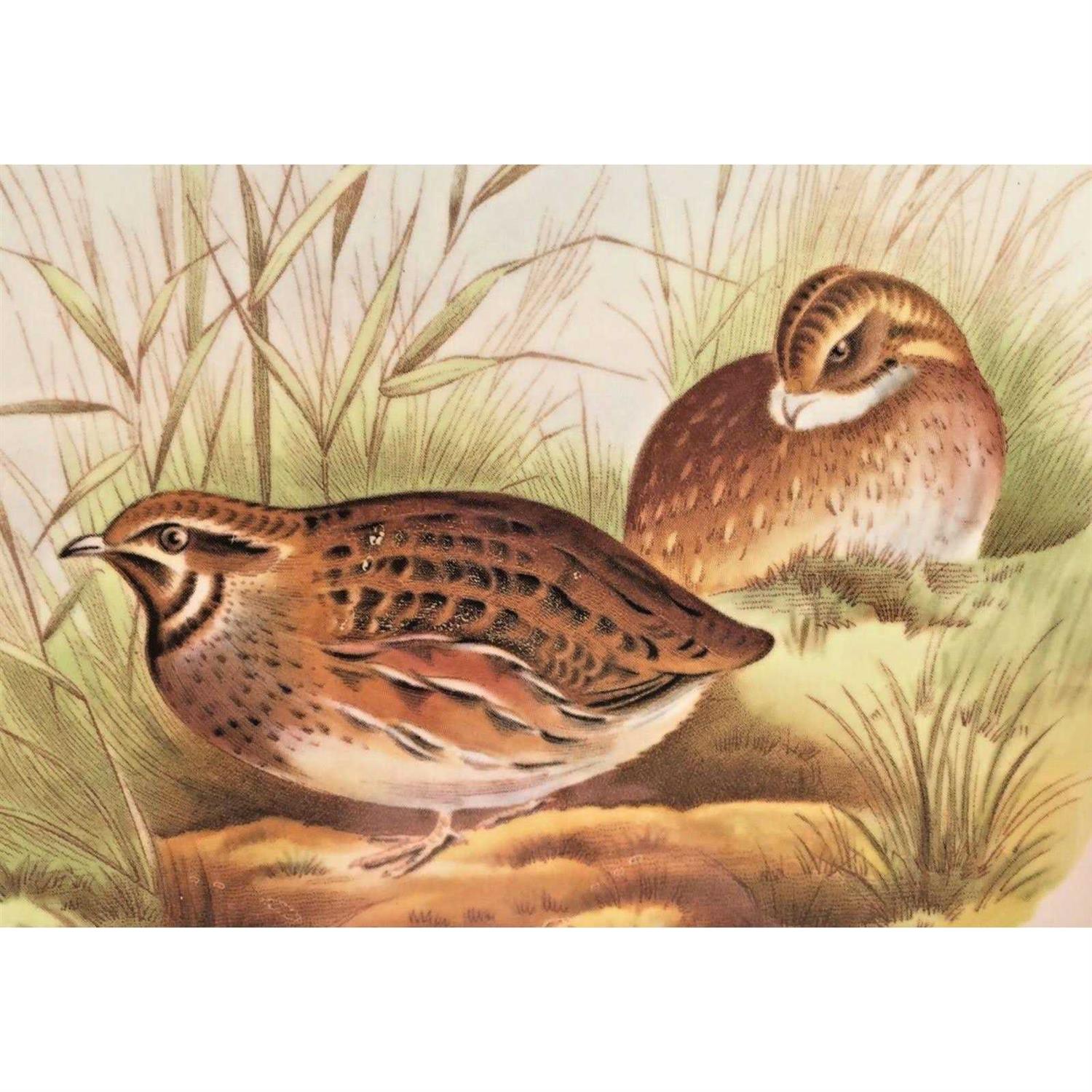 Spode Woodland Plate