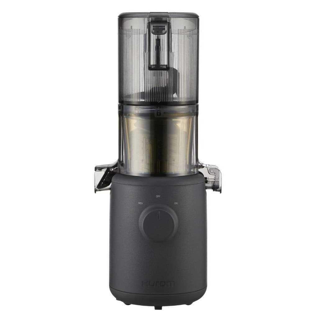 Hurom H310A Personal Self Feeding Slow Masticating Juicer