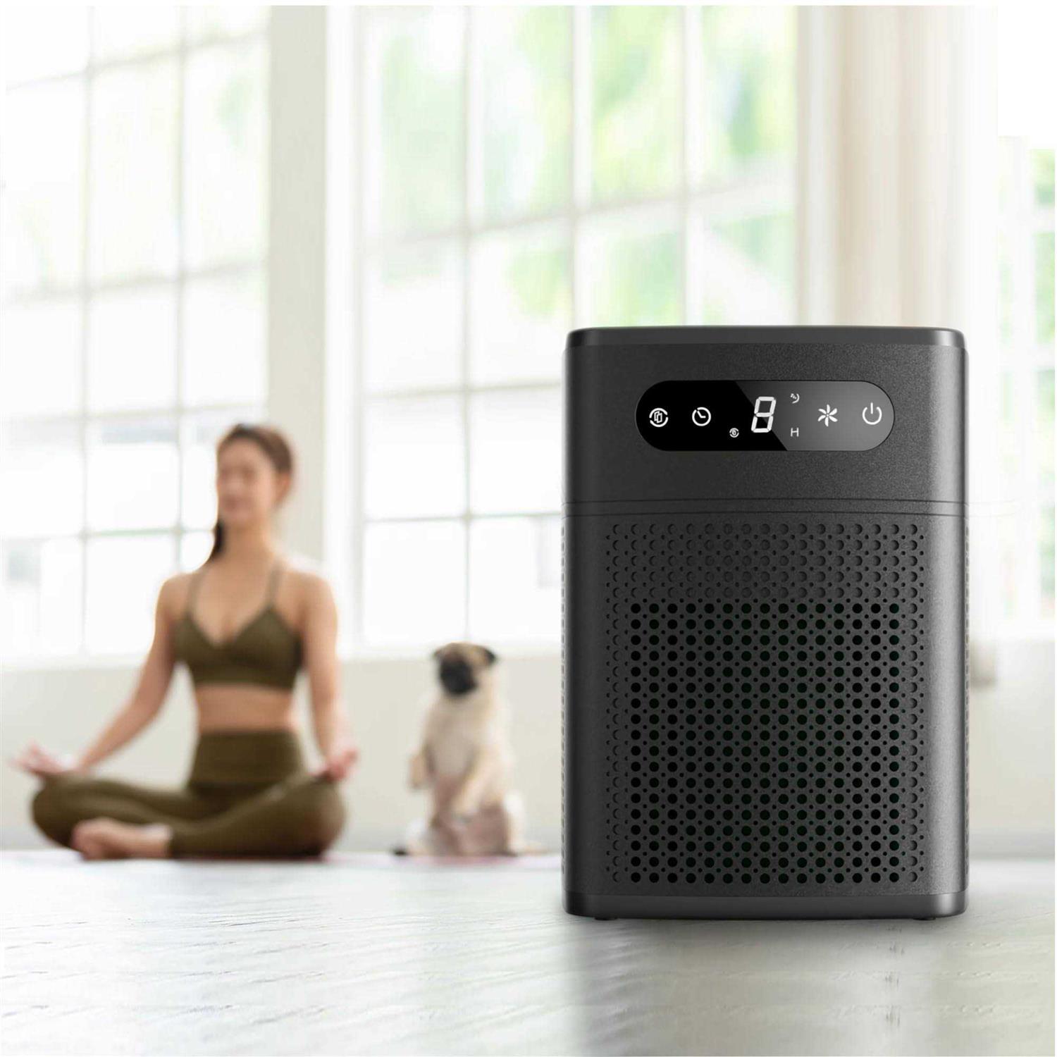 2 Pack Air Purifiers for Home Bedroom H13 True HEPA Filter for Home large Room