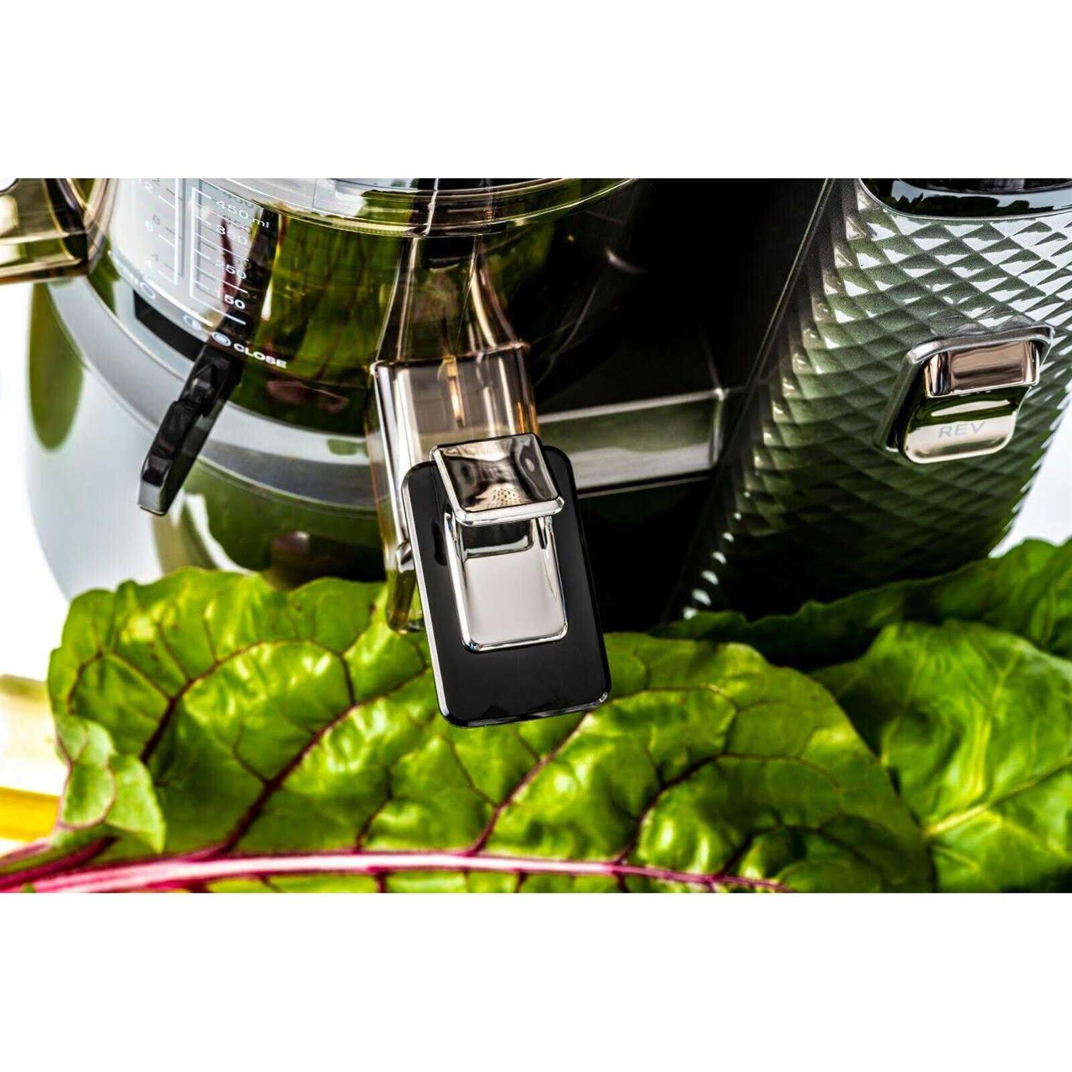 Nama Vitality 5800 Cold Press Juicer, Size: One Size