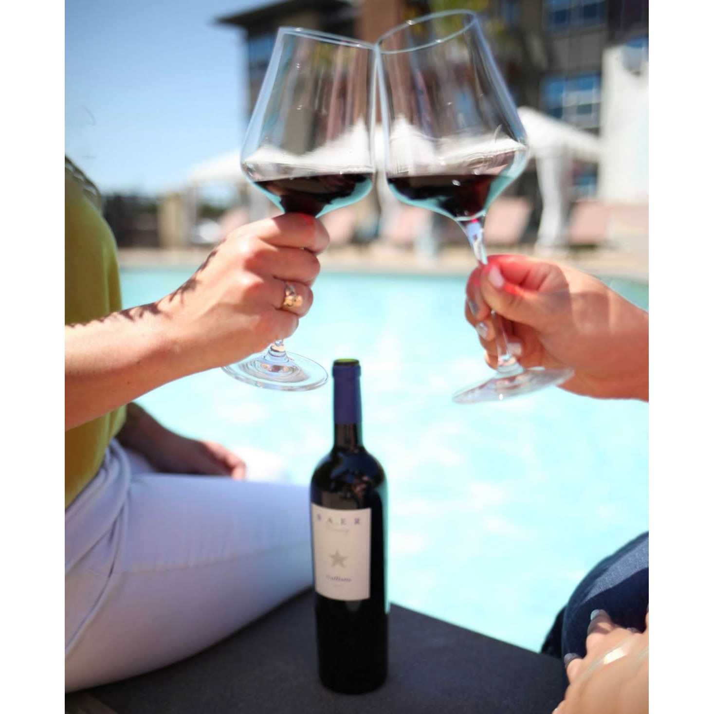 Gabriel Glas Crystal Wine Glass