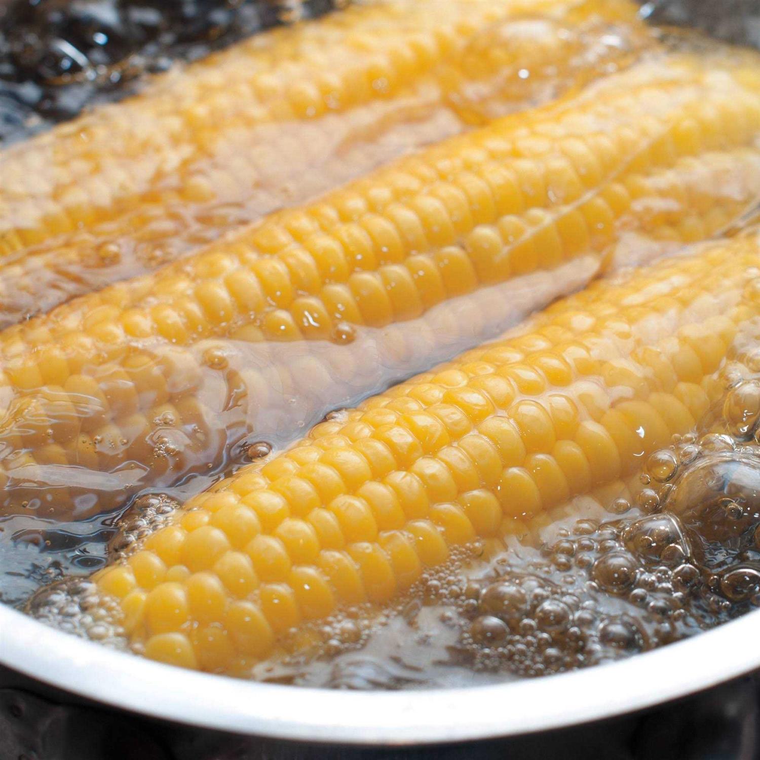 Cuisinart 5.75qt Stainless Steel Pasta Pot with Straining Cover