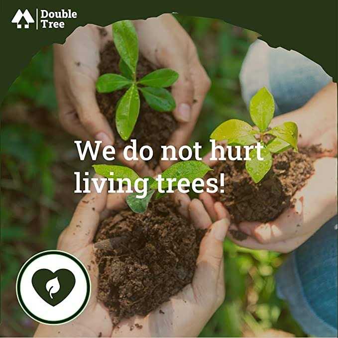 Double Tree Forest Products Fatwood-Kindling Bundle