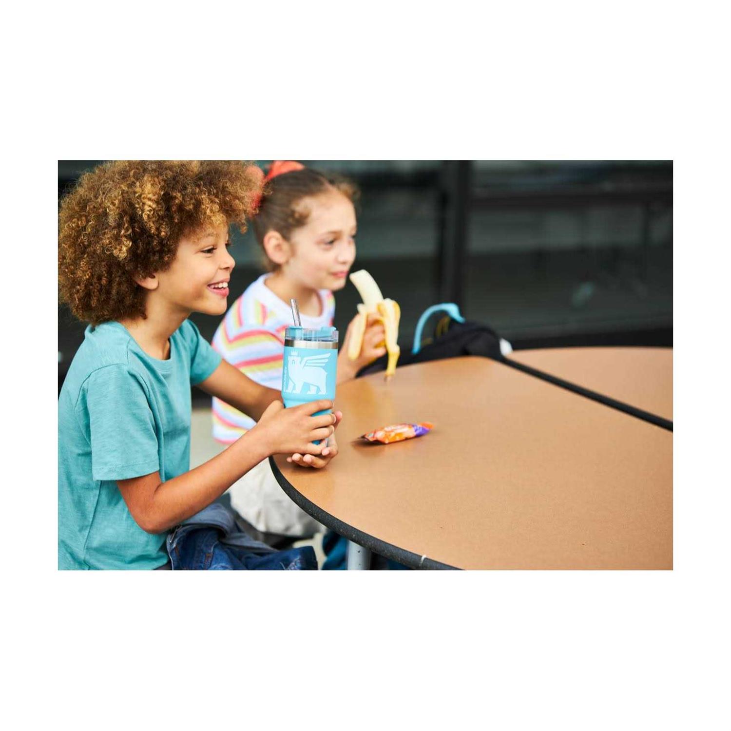 Stanley Wild Imagination Quencher Tumbler