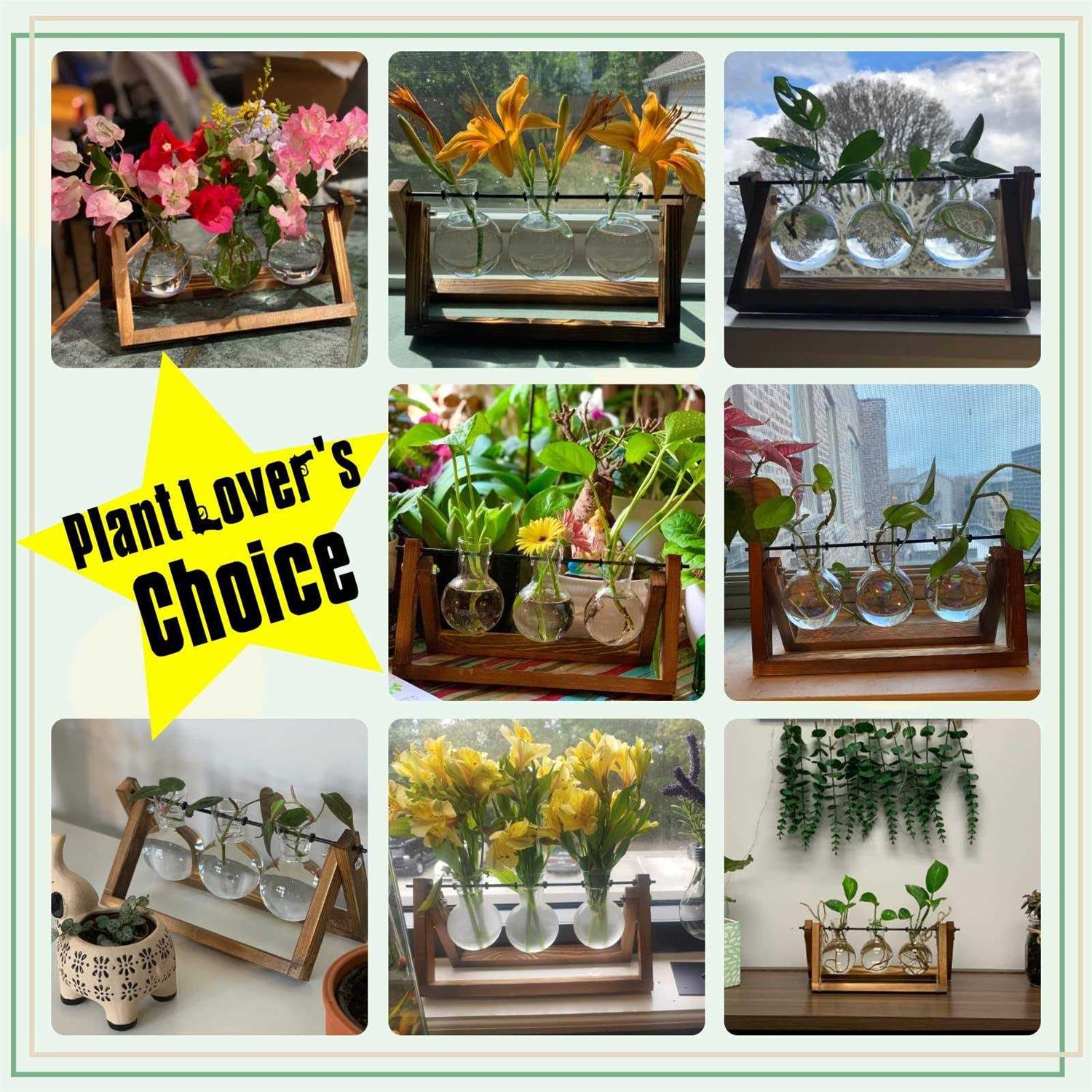 Xxxflower Plant Terrarium with Wooden Stand Air Planter Bulb Glass Vase Metal Swivel Holder Retro Tabletop for Hydroponics Home Garden Office