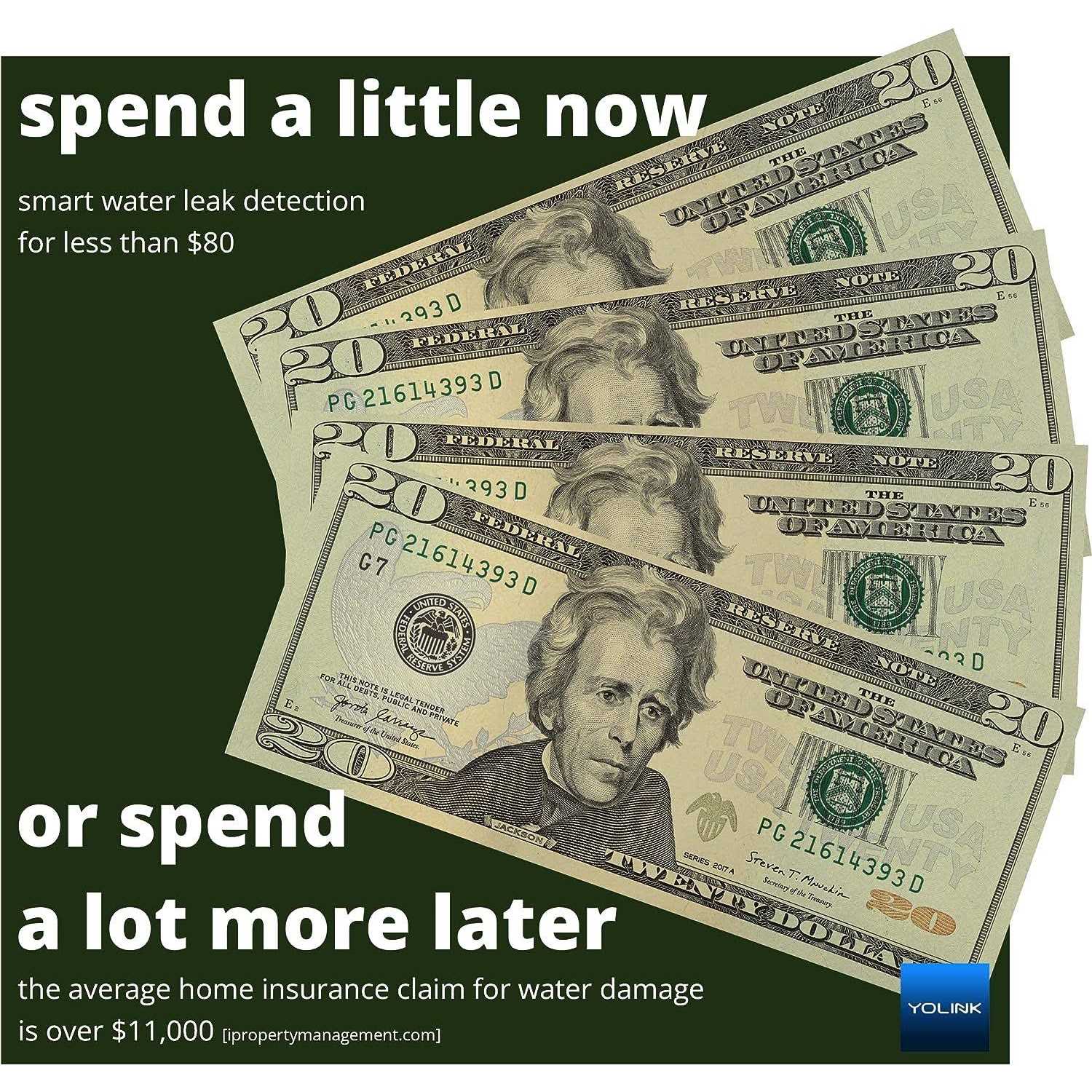 Yolink Smart Home Starter Kit Hub & Water Leak Sensor 4-Pack