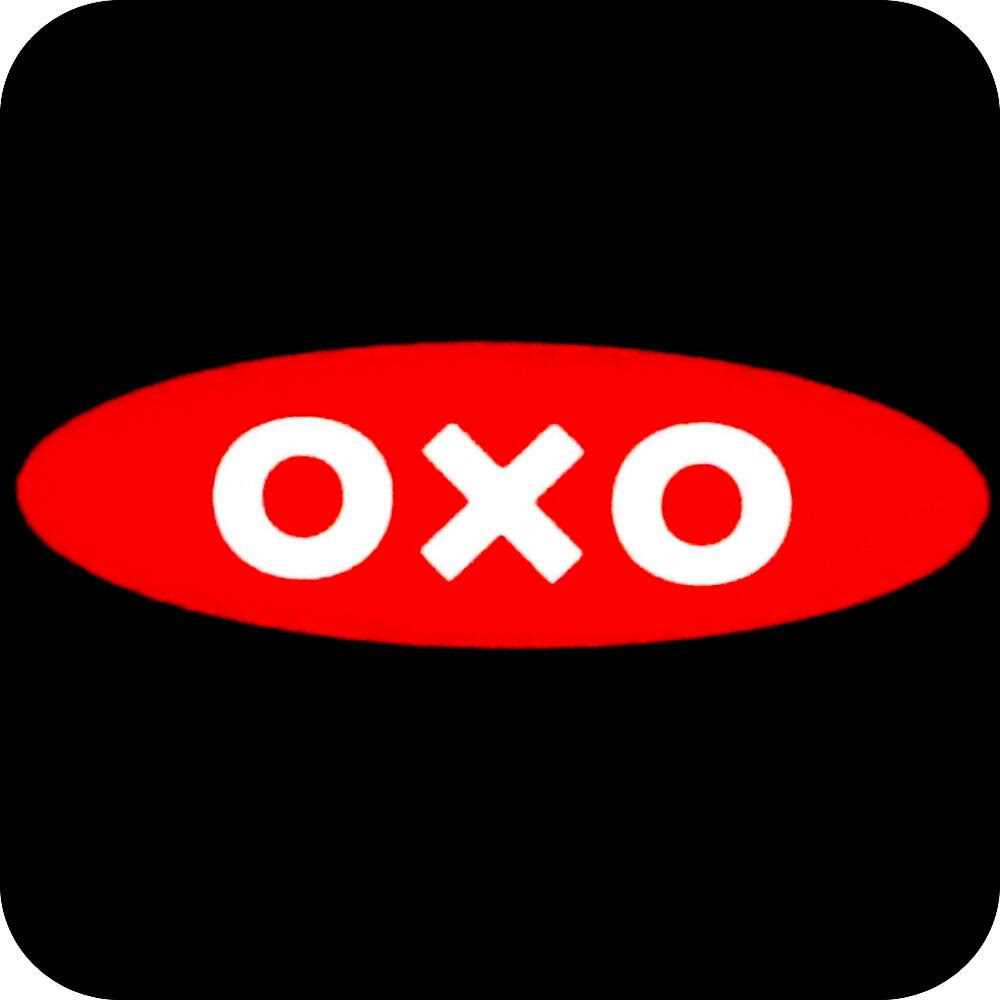 OXO Good Grips Garlic Press