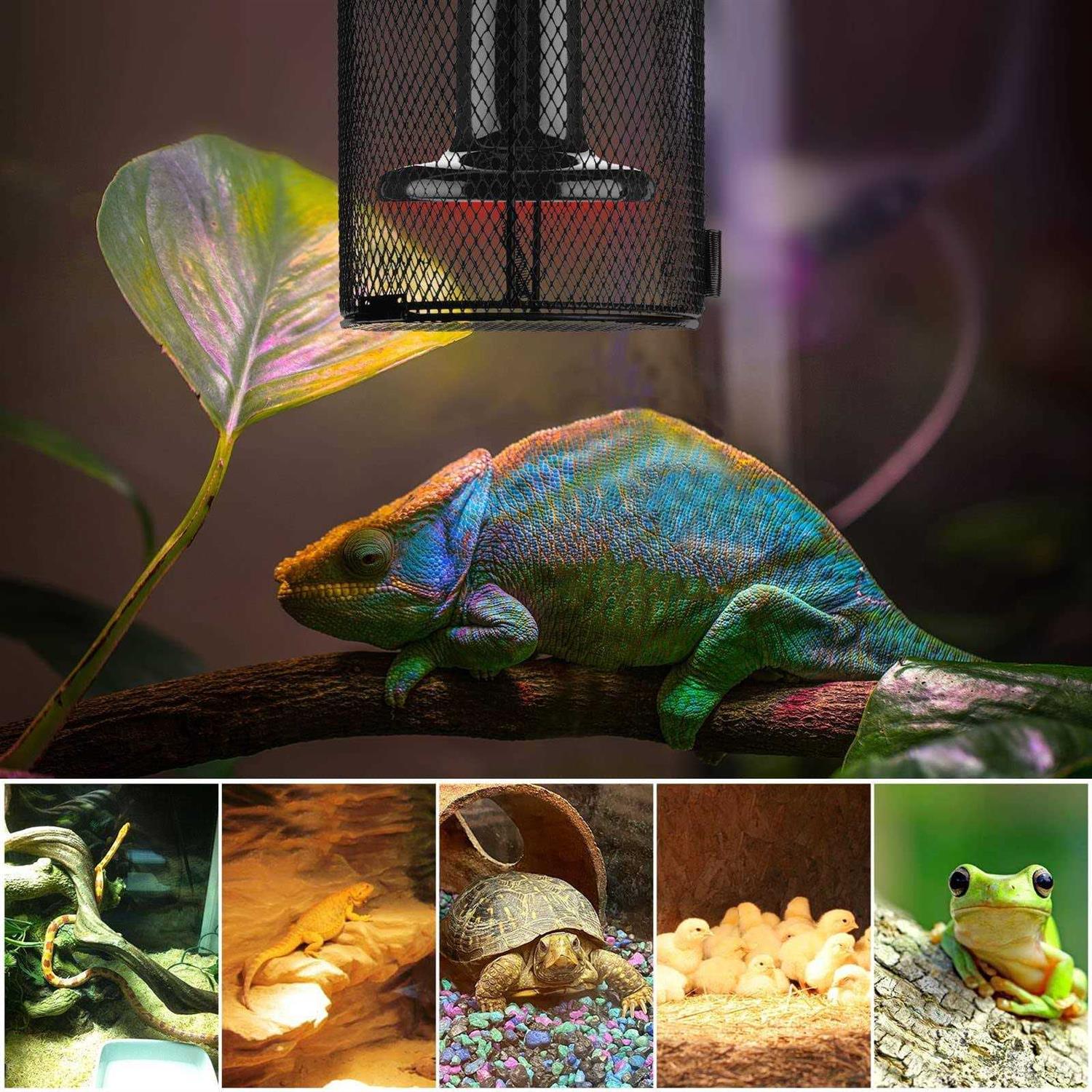 Simple Deluxe 2-Pack Reptile Heater Guard Heat Protector Anti-Scald Cover Mesh Cage