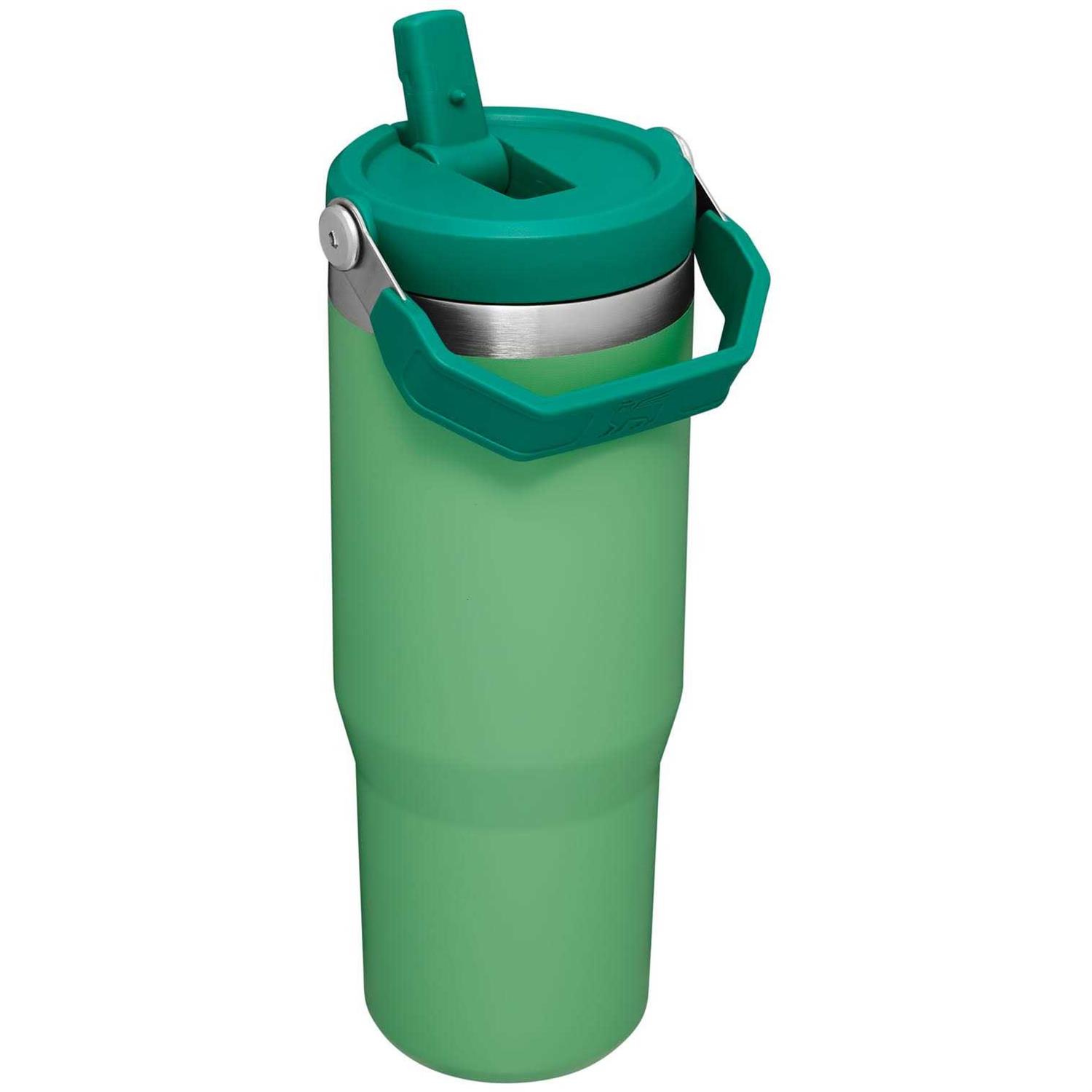 Stanley IceFlow Tumbler Flip Straw