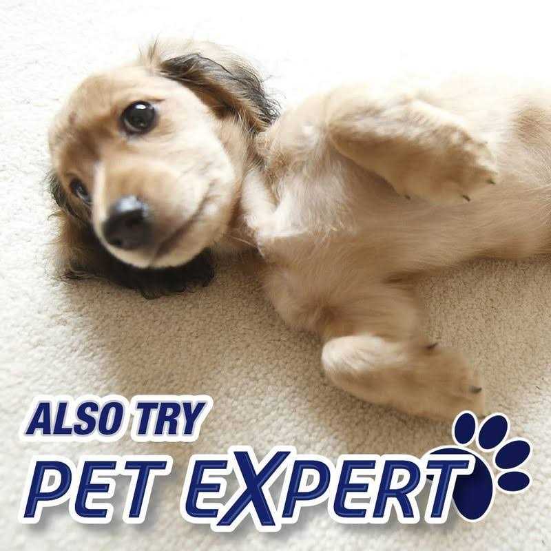 Resolve Carpet Cleaner High Traffic Foam