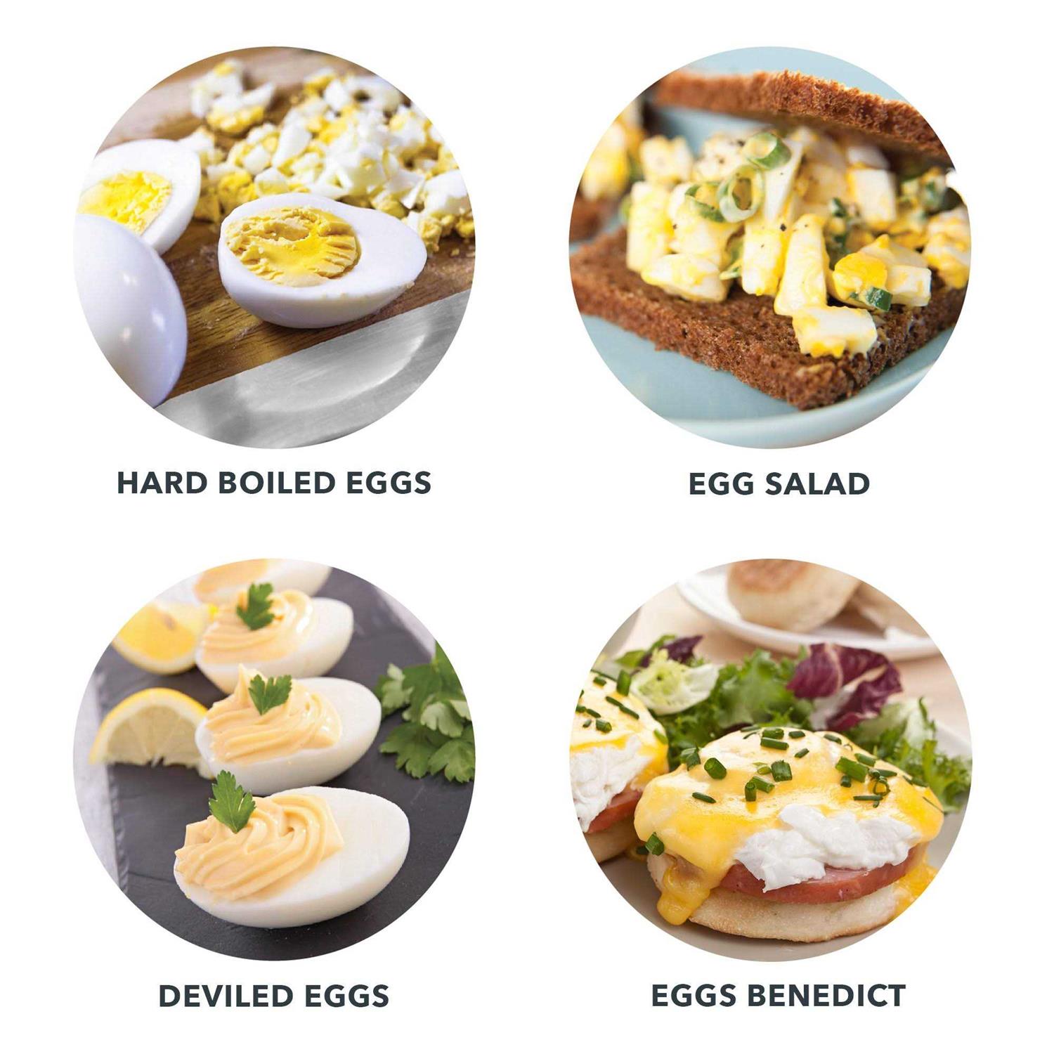 Dash Rapid 6 Egg Cooker