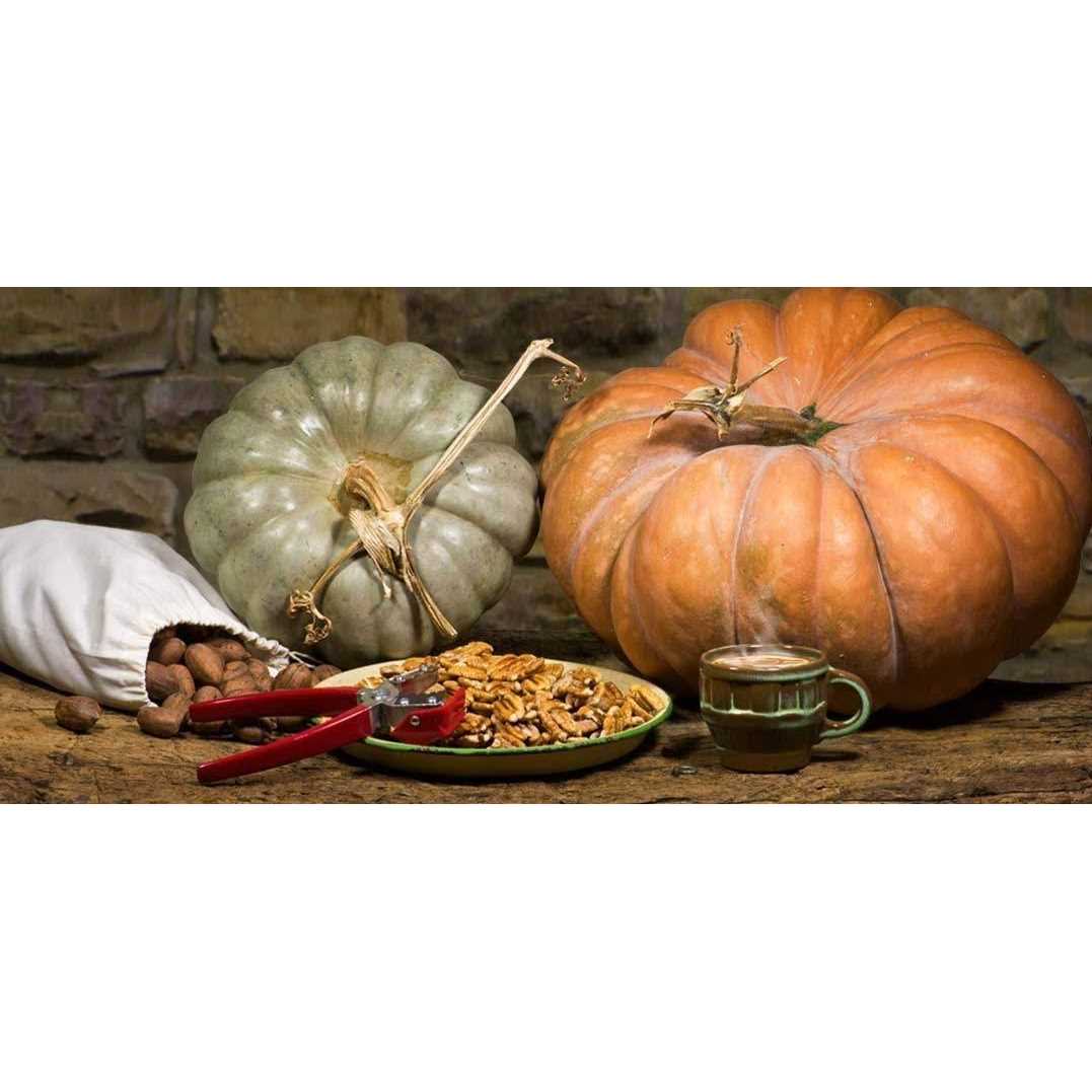 Texan Nut Sheller Sheller Nut Texan York