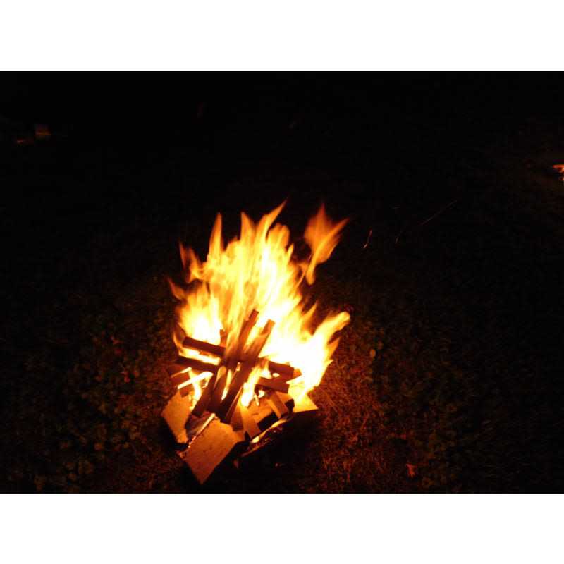 BIO Block Hardwood Kindling 5.5 lb BIO-KIN-A