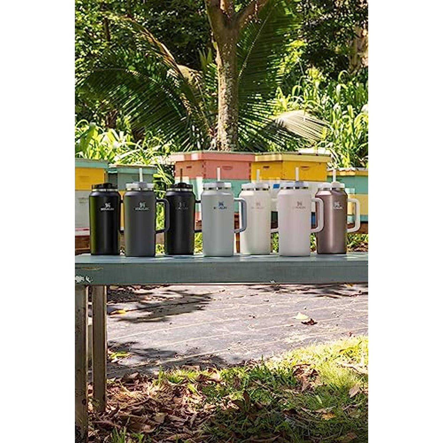 Stanley Quencher H2.0 FlowState Tumbler