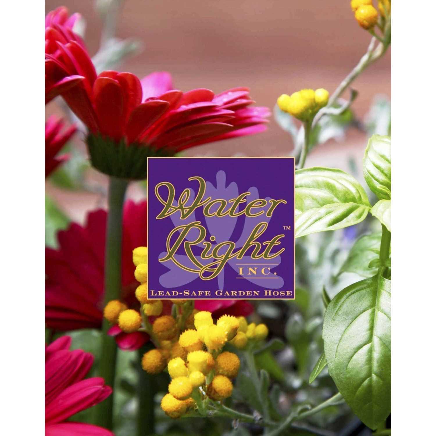 Water Right Professional Coil Garden Hose Lead Free Drinking Water Safe