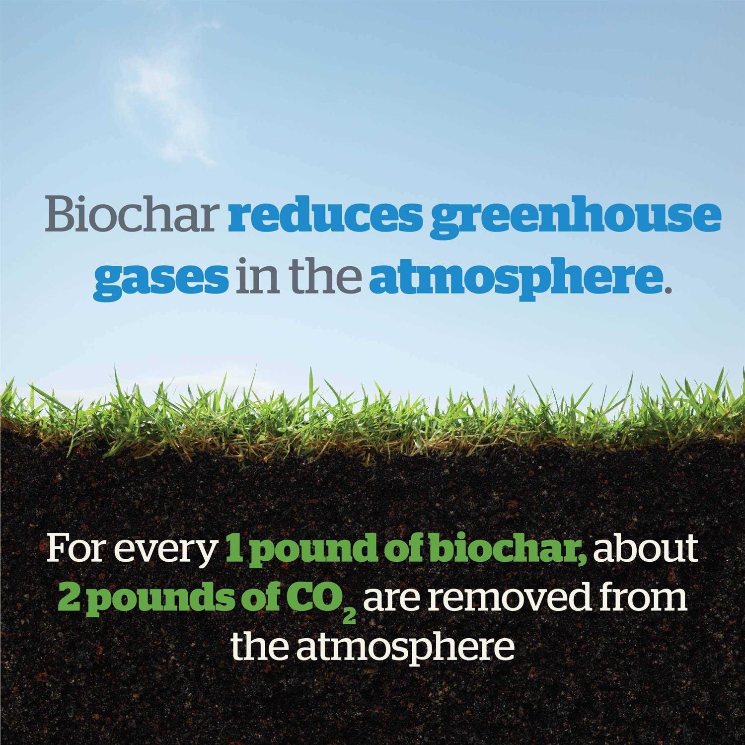 Wakefield Biochar Soil Conditioner