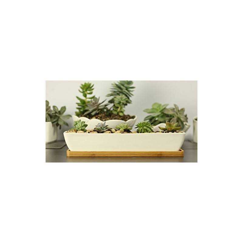 11inch Long Rectangle White Ceramic Succulent Planter Pots/Mini Flower Plant Containers with Bamboo Saucers. Product Size:11×2.36×1.77inch,not