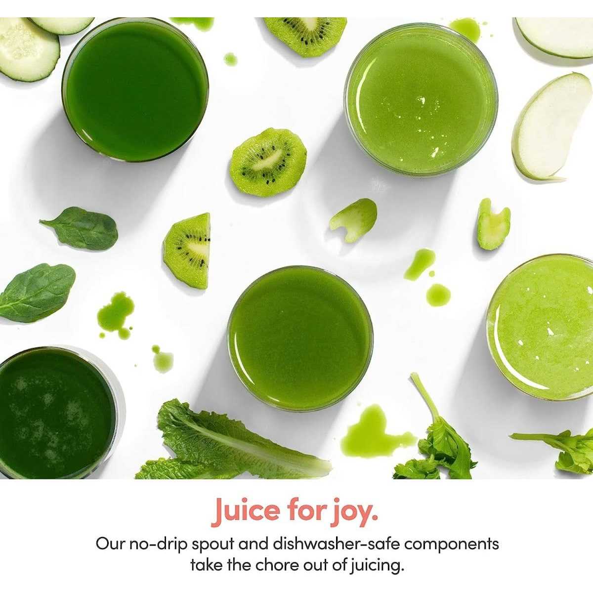 Nutribullet Slow Juicer