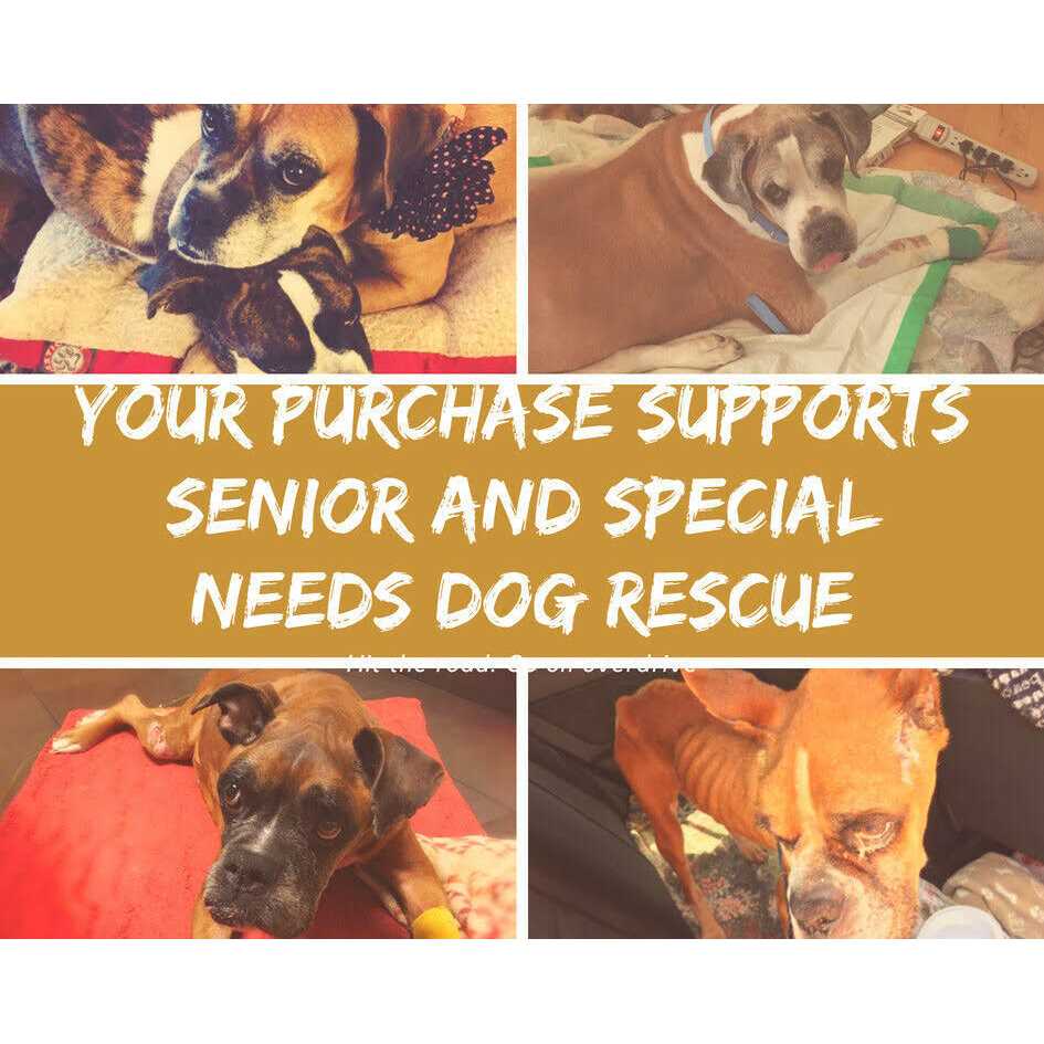 Braun BrewSense 12 Cup Drip Coffee Maker