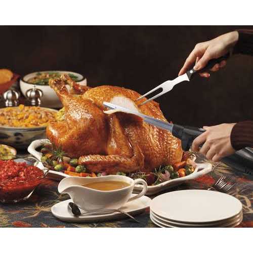 Hamilton Beach Electric Knife with Case