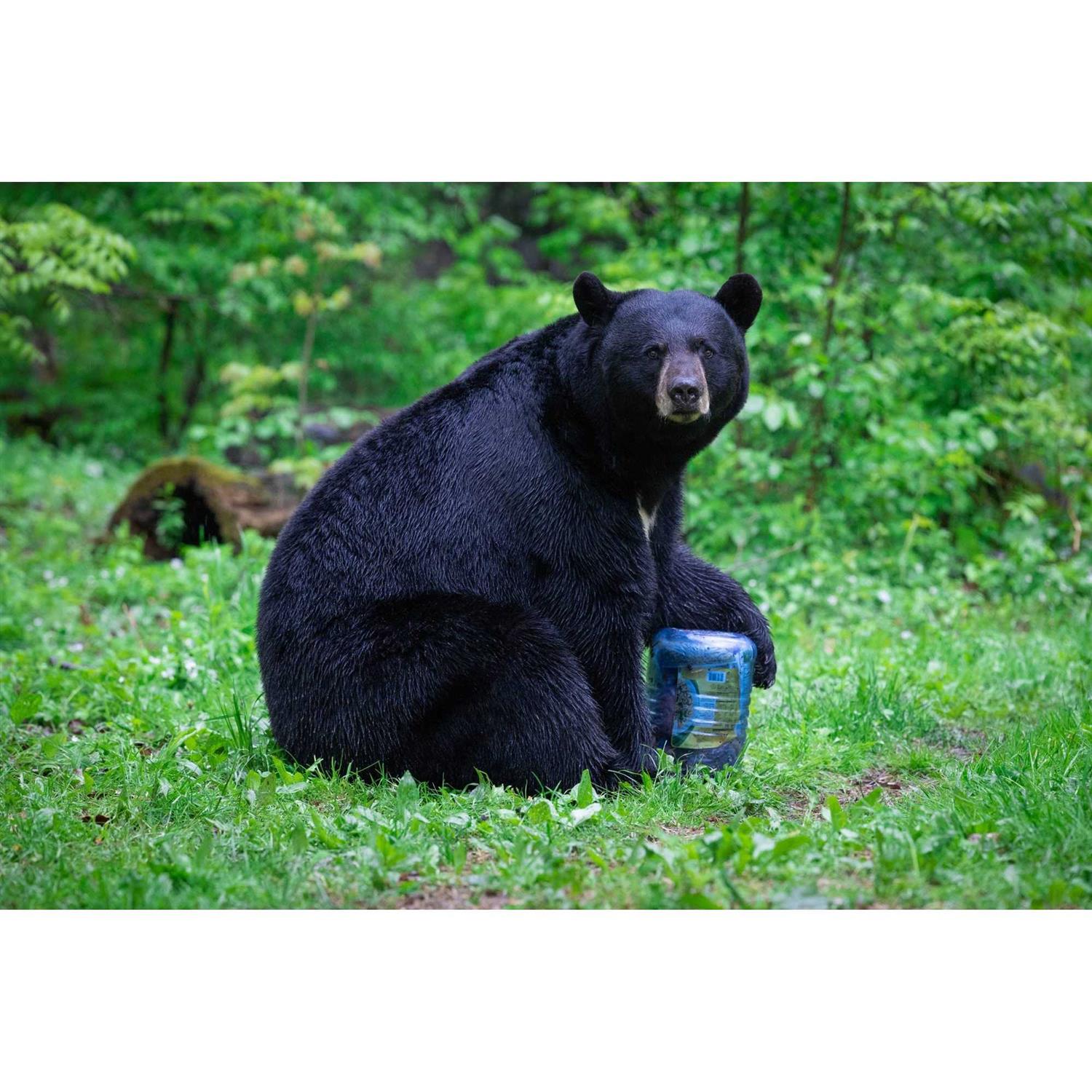 BearVault BV500 Bear Resistant Food Canister