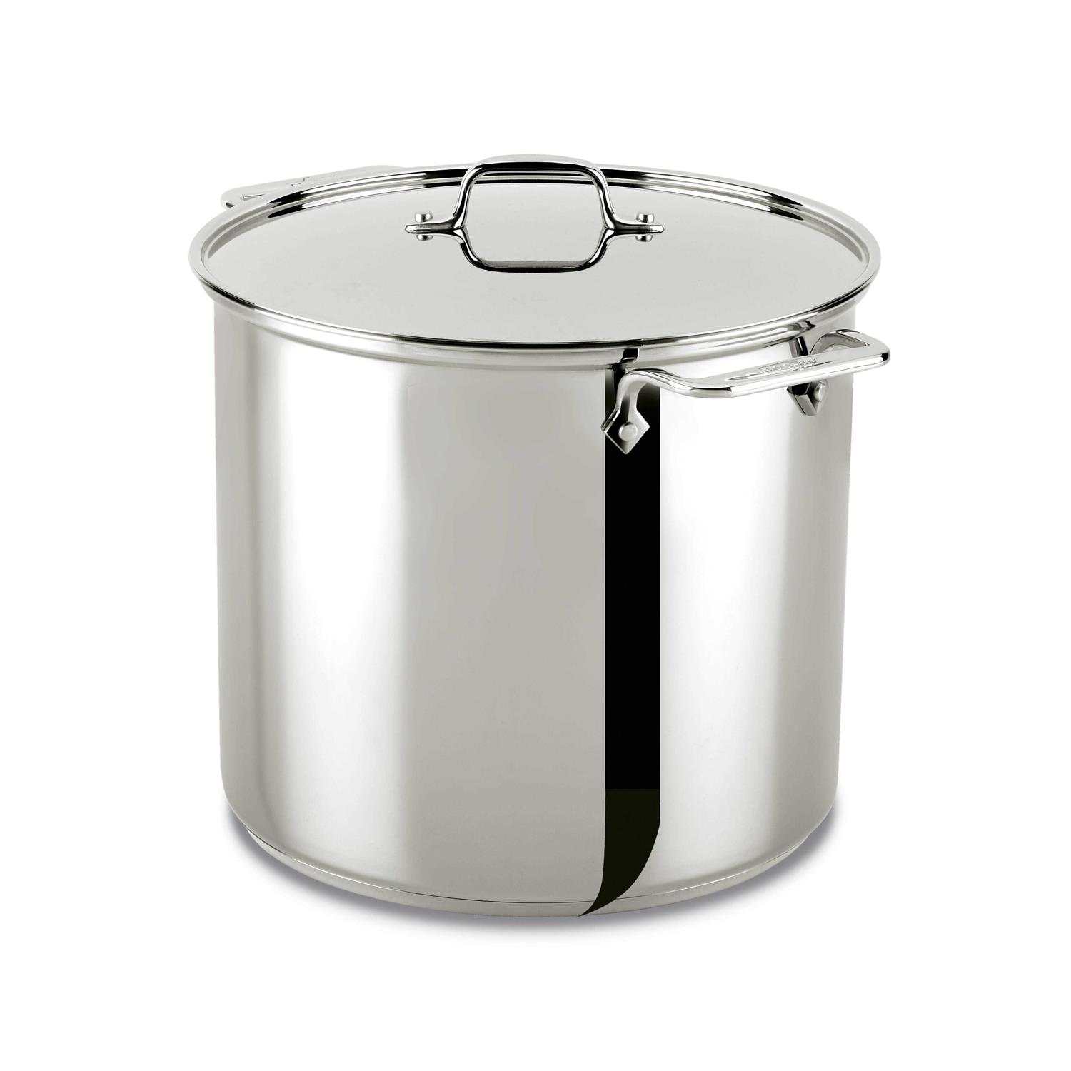 All-Clad Stainless Steel Stockpot & Lid