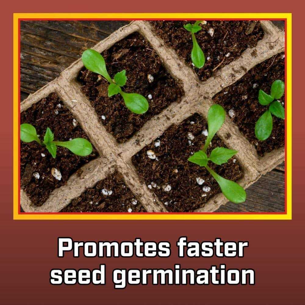 Vigoro 8 Qt. Organic Vermiculite Soil Amendment