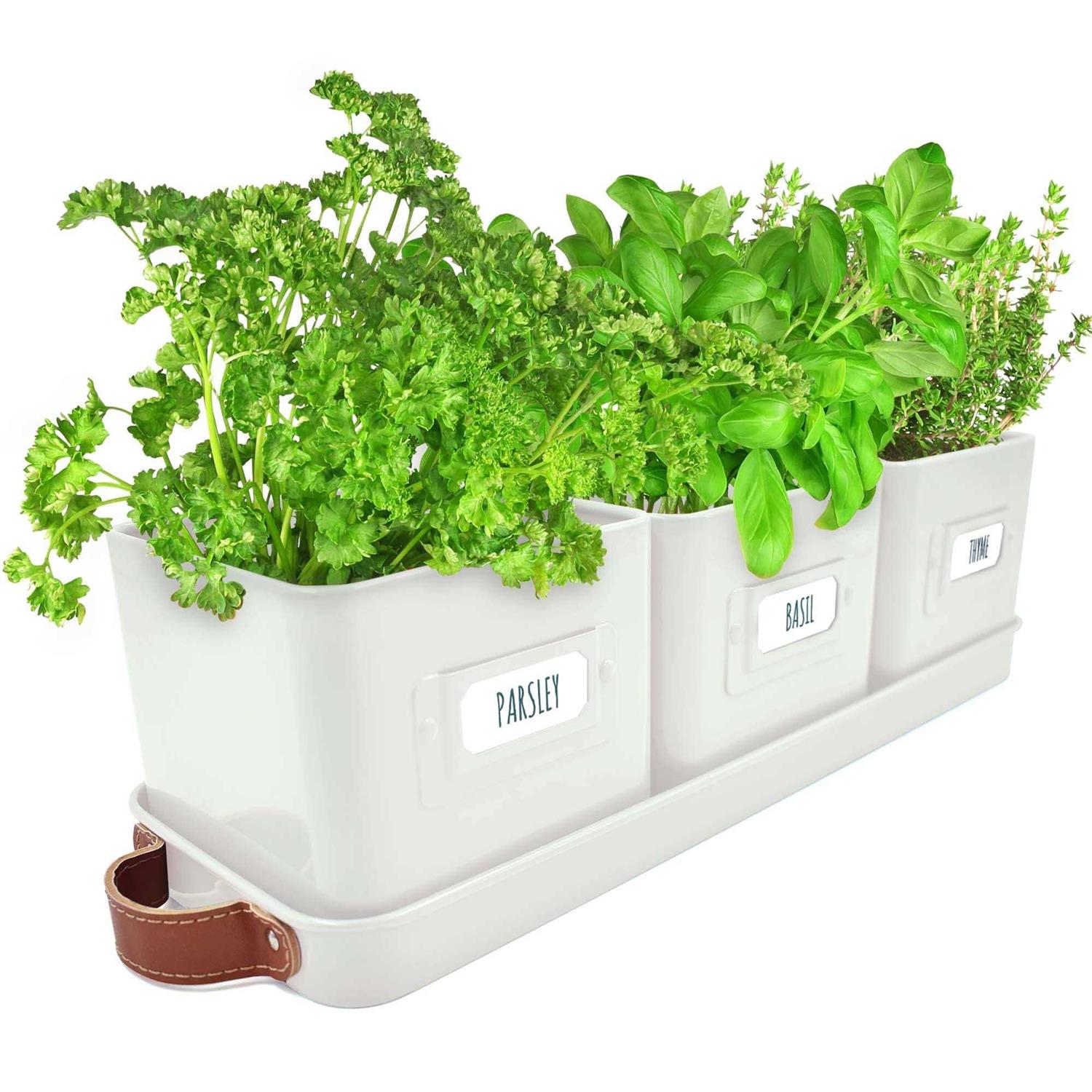 volila Window Herb Garden Planter Indoor Window Herb Planter Pots for Indoor Plants with Leather Handles and Labels