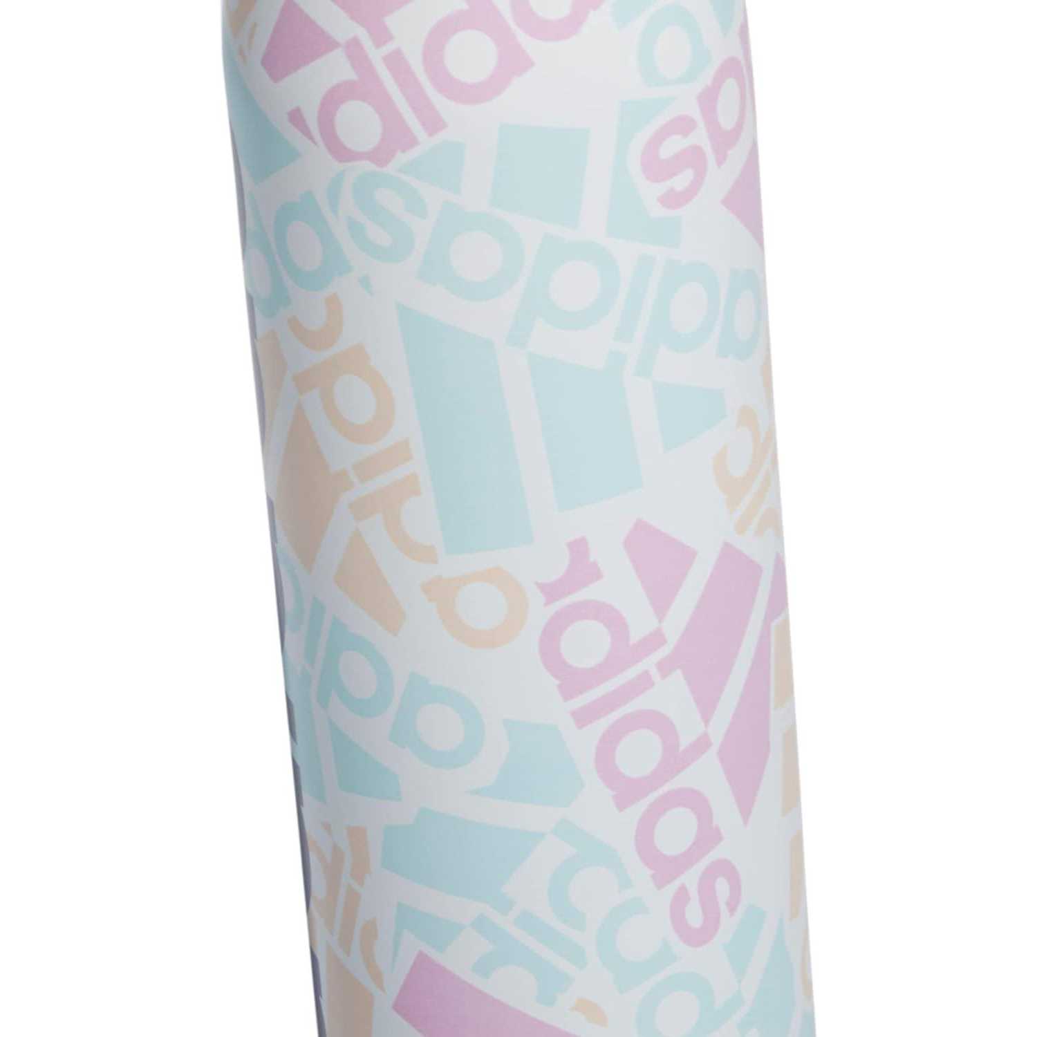 Steel 600 Metal Bottle