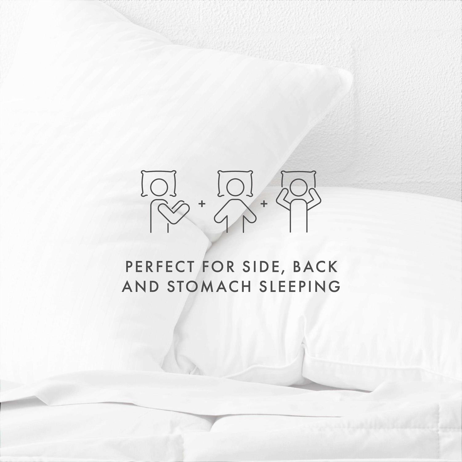 Becky Cameron Plush Down Alternative Gel Fiber Pillows 2 Pack