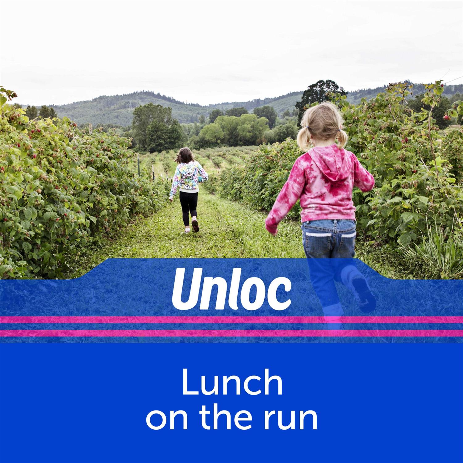 Ziploc Sandwich Bags