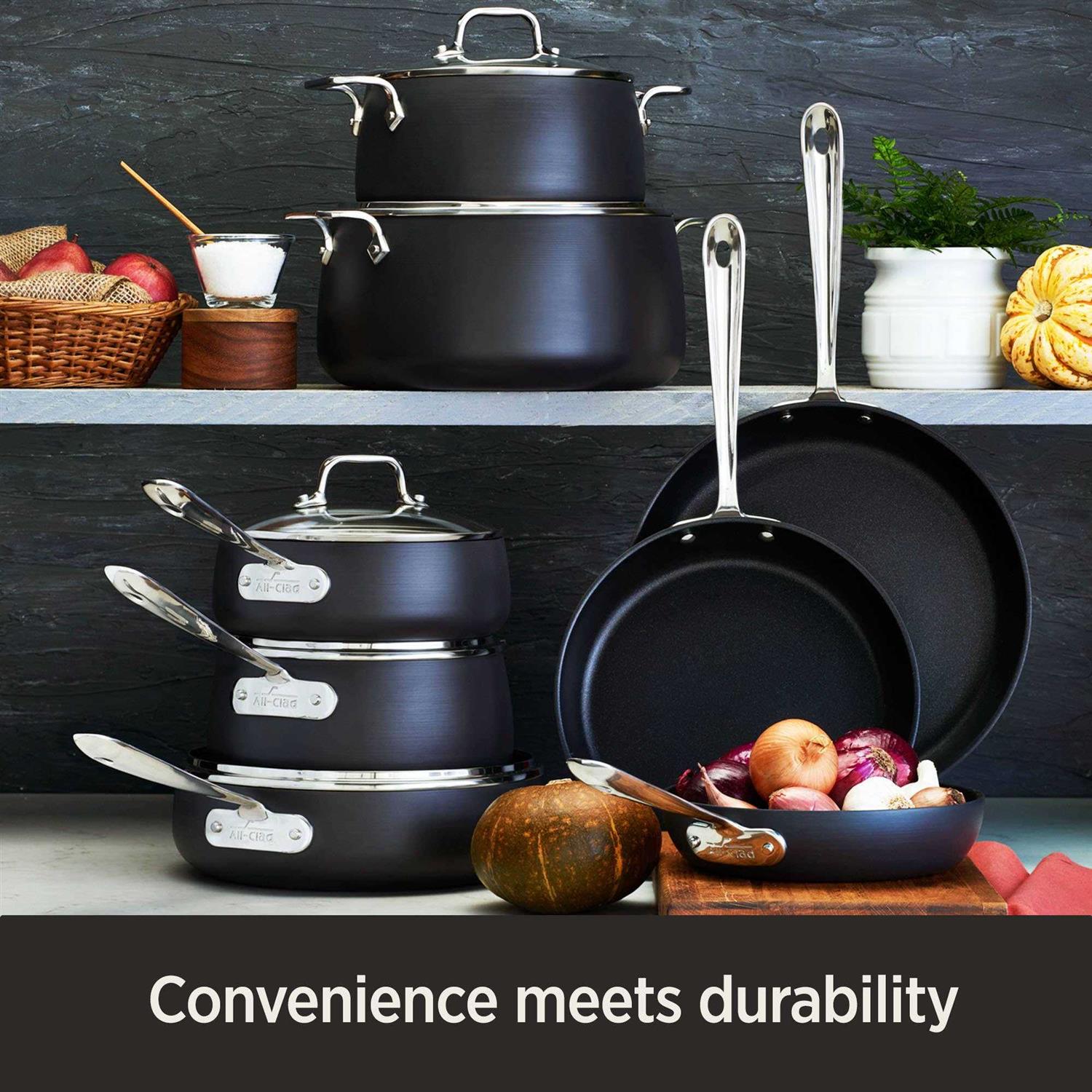 All-Clad HA1 Hard Anodized Nonstick Fry Pan