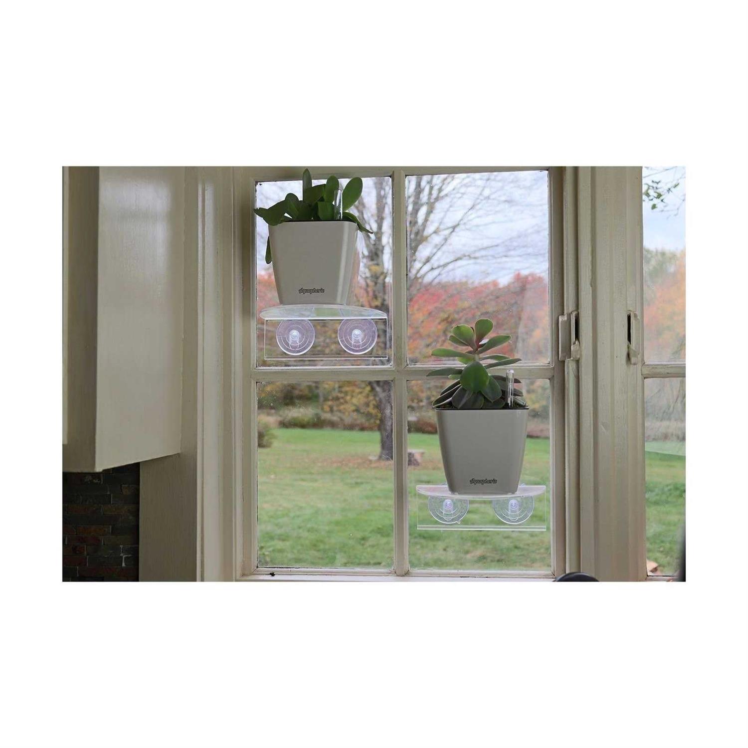 Window Garden Veg Ledge Window Shelf for Plants Clear Acrylic Shelves